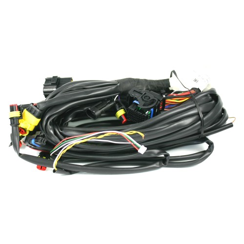 OMVL mazzo cavi 4 cilindri DE544119 per OMVL DREAM on (senza connessione OBD)