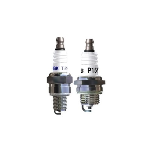 BRISK GARDEN NON RESISTANCE P17 candela d'accensione