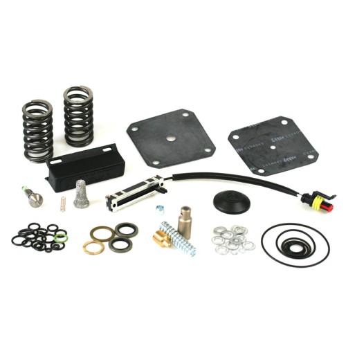 Landi Renzo kit di riparazione regolatore pressione NG2